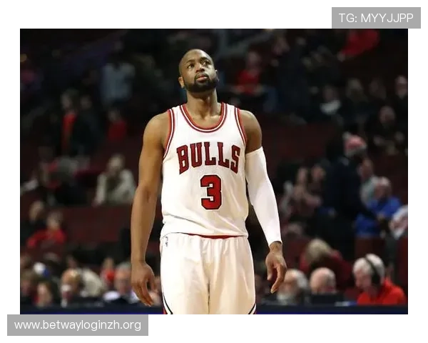 韦德官网玩家交流社区汇聚高手经验分享与新手入门指南推荐